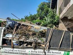 Best Property Management Cleanouts  in Indian Harbour Beach, FL