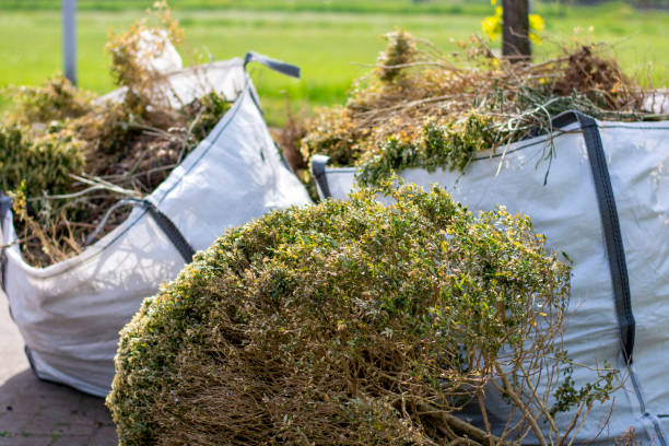 Best Electronics and E-Waste Disposal  in Indian Harbour Beach, FL